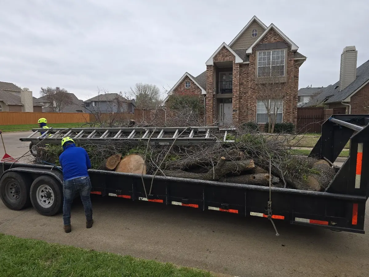 Expert Tree Pest Control with proper safety equipment in Mayslick